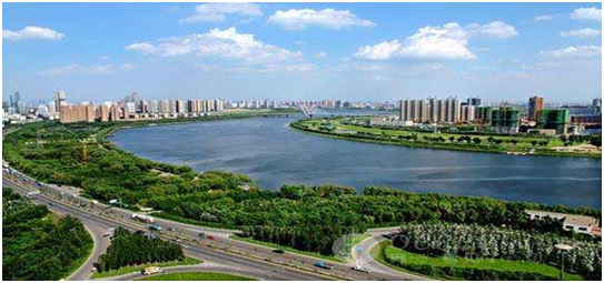 包含沈阳城市建设主场击败对手，积分逐渐攀升的词条