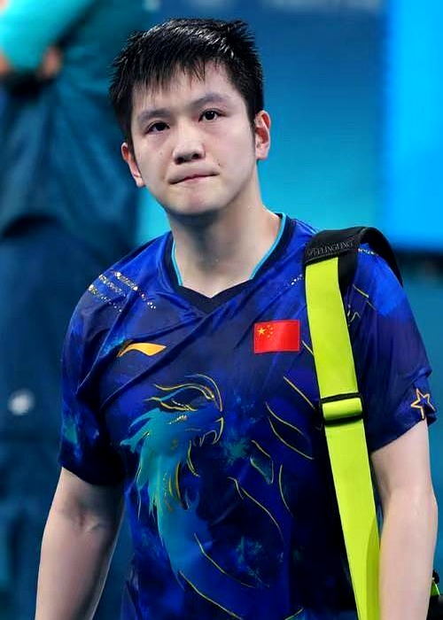 开云体育入口-波兰队逆转德国队，樊振东刷新纪录