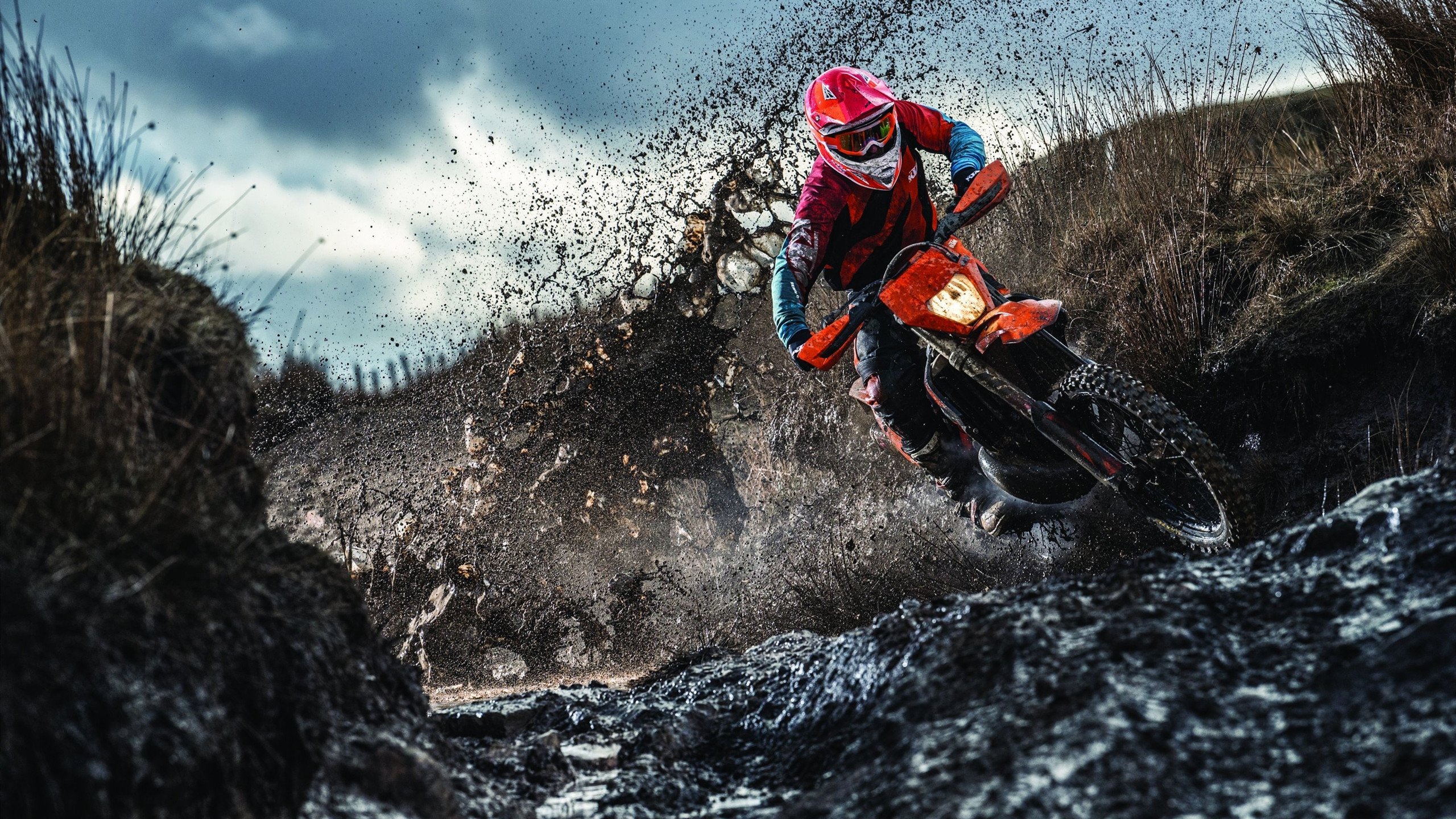 火力全开！新疆队战术体系压制尼克斯，塔图姆关键时刻定乾坤