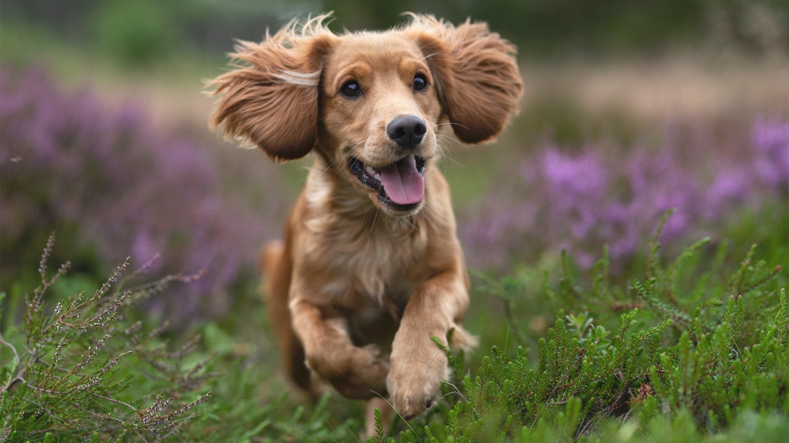 开云体育中国-金融防线与关键先生，当瑞士火力压制委内瑞拉，卡塞米罗如何一锤定音？