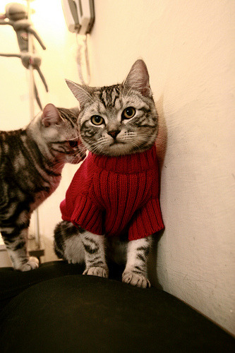 当红黑条纹遇见彩虹国度，三笘薰的魔法撕裂南非防线