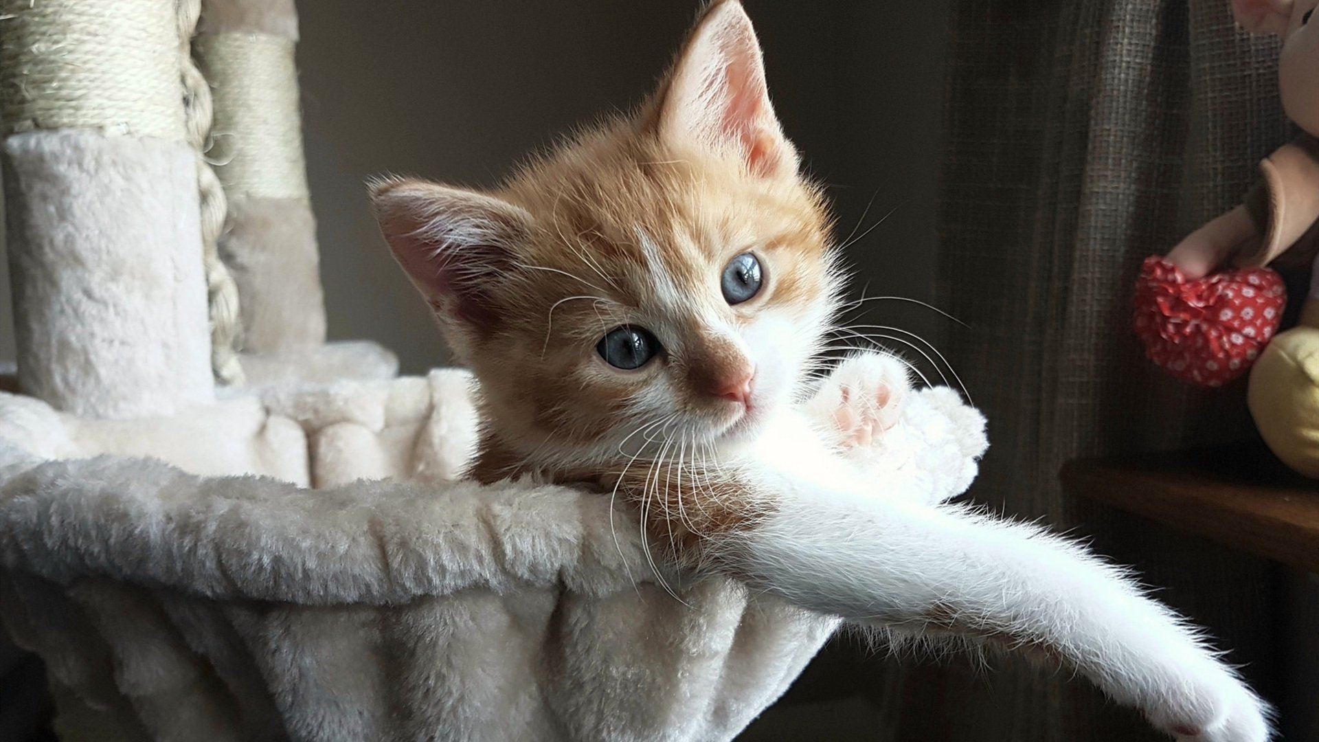 基米希闪电破门定基调,威尔士压哨逆转国际米兰