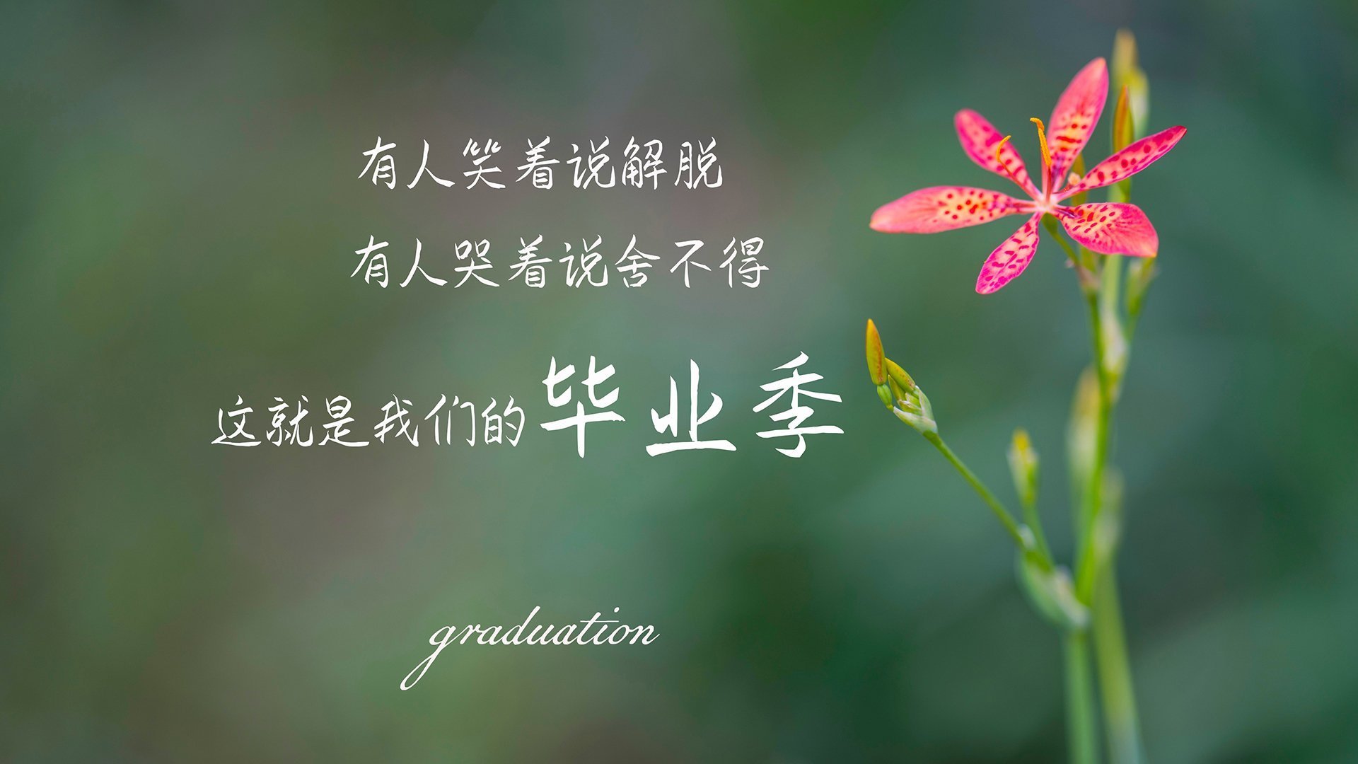 节奏掌控者与惊艳新星，湖人巧制独行侠，杰伦格林闪耀全场