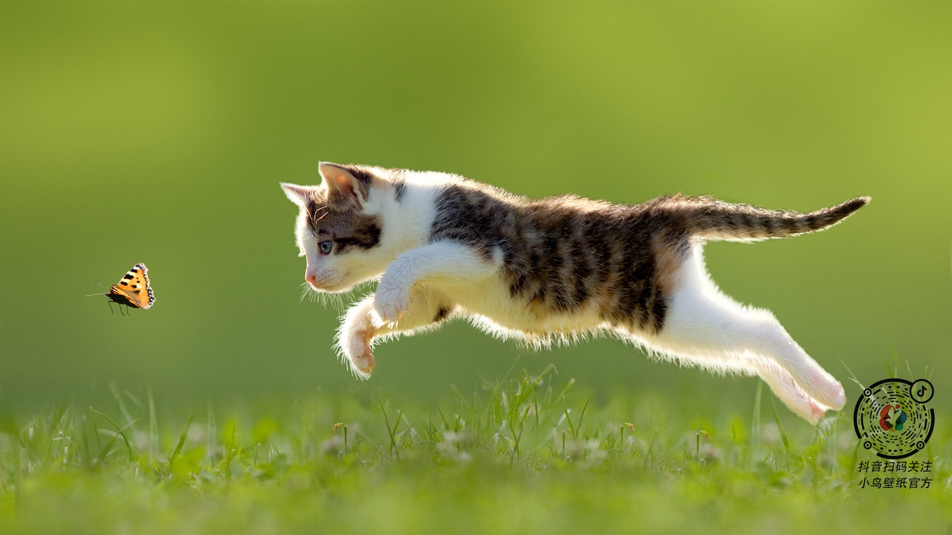 楚阿梅尼进攻端无人可挡，德国对阵安哥拉之战彰显巨星光芒