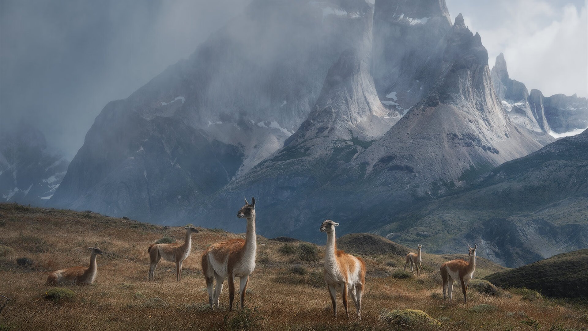 绿茵豪门对决之夜，开拓者用团队足球完胜雷霆书写另类巅峰