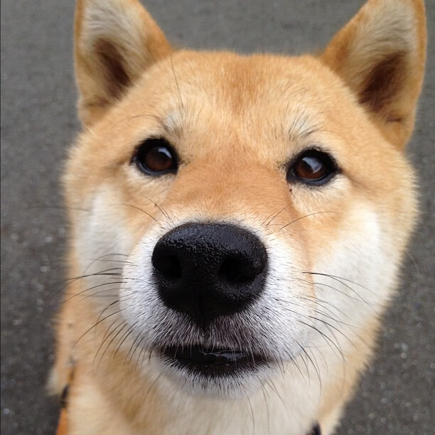 萨内一剑封喉，英格兰在悬崖边上的关键突围