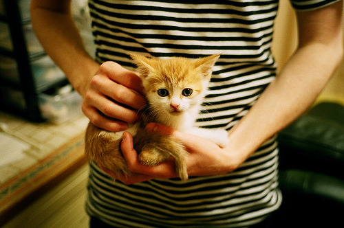 绿茵法则，当奥斯梅恩进入无解领域