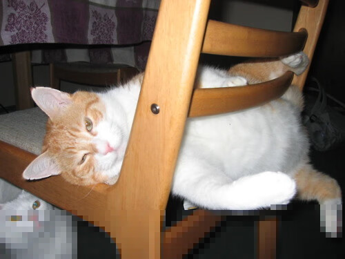 开云体育app-伦纳德关键战再显神威，深圳队力克魔术创佳绩