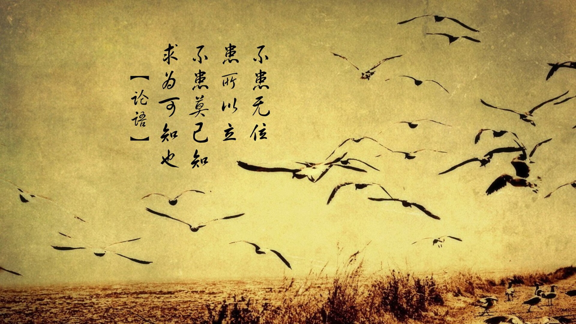 开云体育app-孤星映霜刃，无名之辈贝恩与独行侠的救赎之夜
