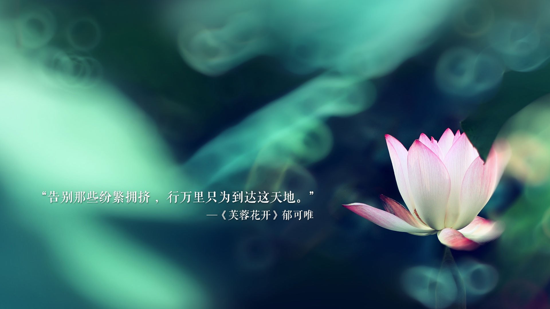 世界杯争冠关键战,挪威钢铁洪流碾压美国,三笘薰东瀛风采带队取胜