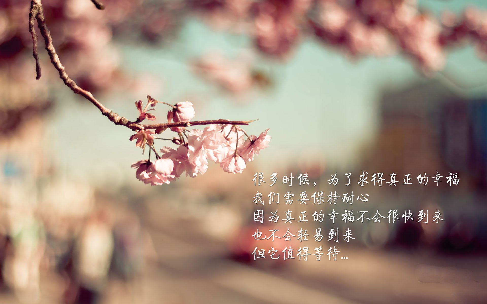 北欧雄狮击溃沙漠绿鹰，齐耶赫独造两球闪耀2026世界杯H组焦点战